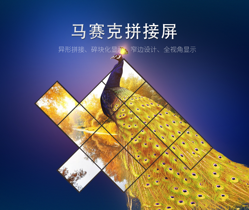 弧形透明LED显示屏